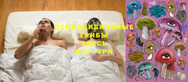 прущие грибы Бронницы