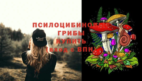 метадон Снежинск