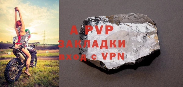 прущие грибы Бронницы