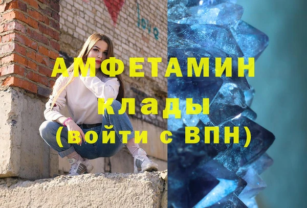 прущие грибы Бронницы