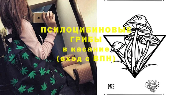 прущие грибы Бронницы