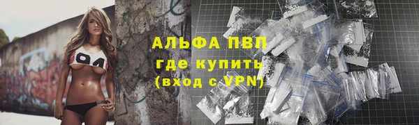 прущие грибы Бронницы