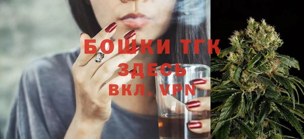 прущие грибы Бронницы